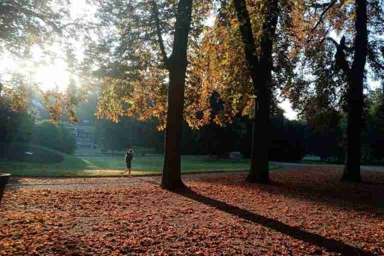 Serene autumn morning scene in Nancy, France with sunlight filtering through trees.