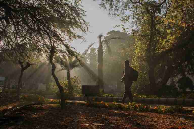 A lone walker enjoying morning sunrays in a tranquil park setting.