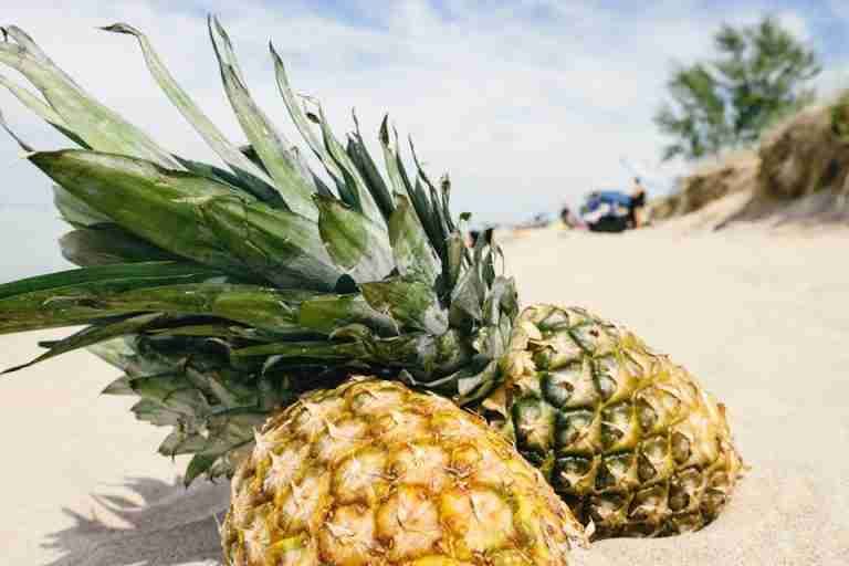 Close-up of ripe pineapples on a sunny beach, embodying tropical vibes and natural freshness.