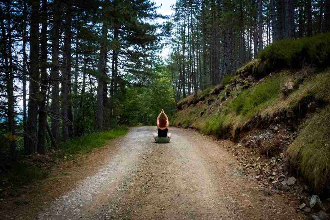 Harnessing the Healing Power of Forest Walks for Stress Relief