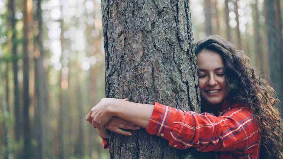 Unplugging to Recharge: How a Nature Walk Transforms Stress into Serenity