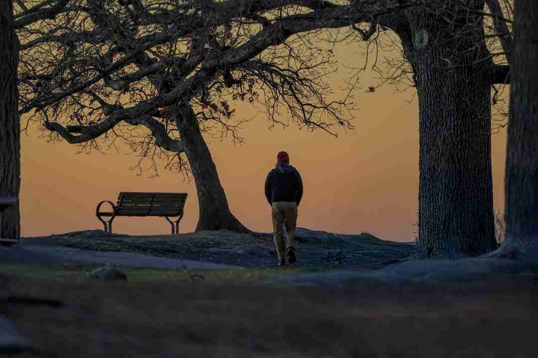 Why a Morning Walk Can Be the Most Zen Part of Your Day