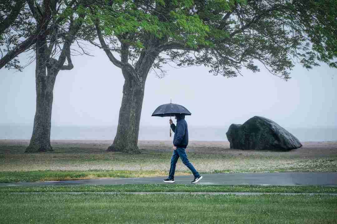 Why a Morning Walk Transformed My Daily Stress Levels
