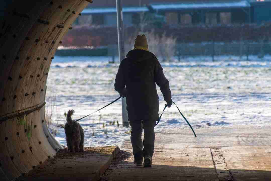 Why Daily Walks Can Be the Best Therapy for Your Mind