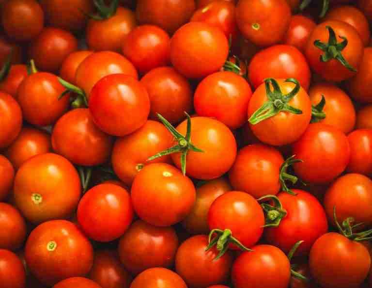 Close-up of fresh red cherry tomatoes with green stems, showcasing vibrant color and texture.
