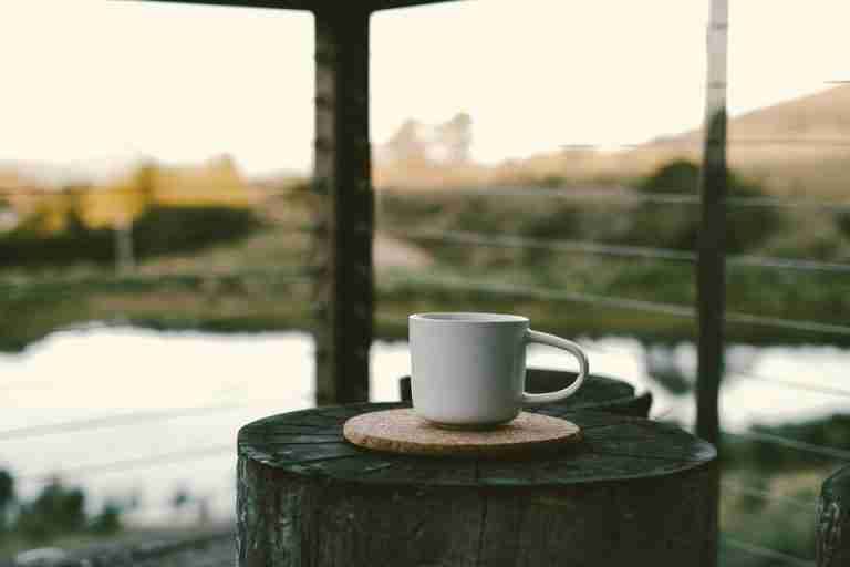 A cozy white coffee cup placed on a tray atop a tree trunk, overlooking a peaceful river scene.