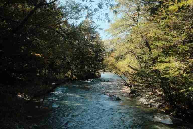 Peaceful river flowing through lush forest in Matsumoto, Nagano, Japan.