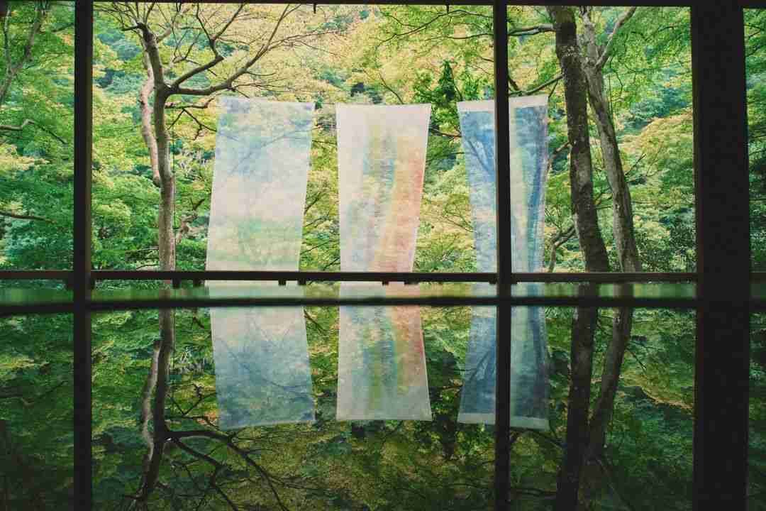 The Quiet Practice of Forest Bathing: Nature's Antidote to Stress